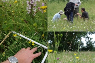 Grassland surveys