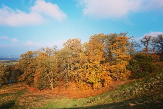 Ampthill Park - Greensand Ridge