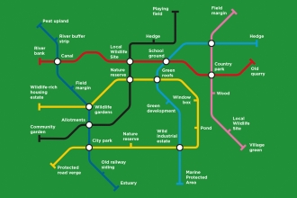 Nature Recovery Map visualised as a tube map