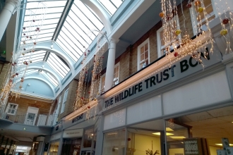 A view of the outside of the pop-up shop in Peterborough
