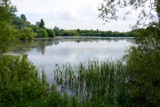 Nene Wetlands 