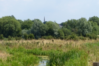 Nene Wetlands 