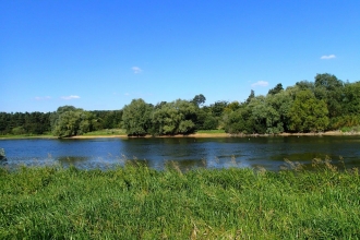 A view of Pitsford Water in the summer