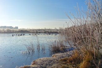 Cambourne winter