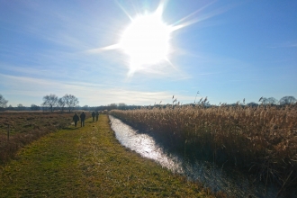 People walking at Woodwalton Fen