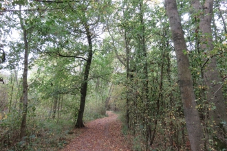 Marston Thrift