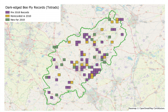 Beefly Map