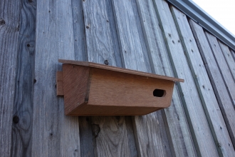 Swift box at Cambourne