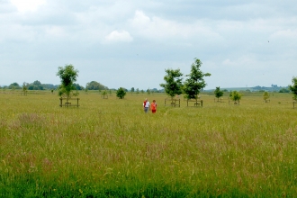 Trumpington Meadows by Caroline Fitton