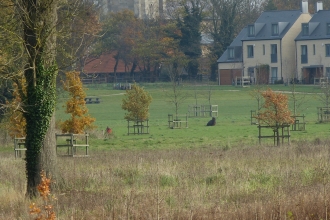 Autumn view, Trumpington,