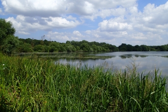 Pitsford Water