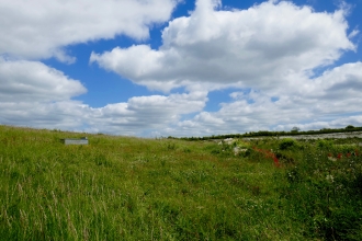 Totternhoe by Caroline Fitton