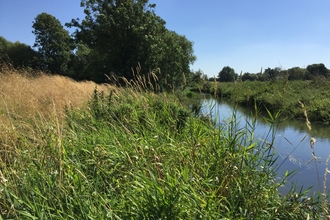 The river at Trumpington Meadows