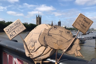 Two placards reading 'Strong Environment ACT NOW' and 'I'm toadally up for a strong Environment Act'