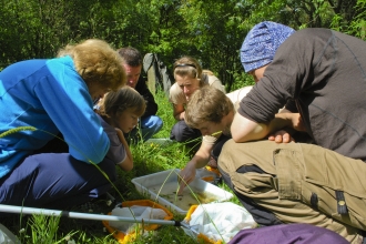 Pond dipping Katrina Martin 2020VISION