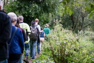 Guided Walk by Paul Miller