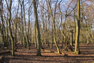Hinchingbrooke Country Park