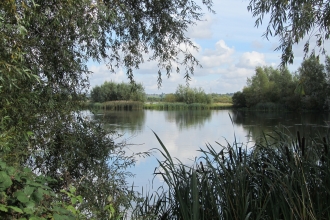 Summer Leys
