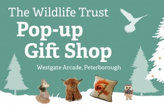 Pop-up gift shop header
