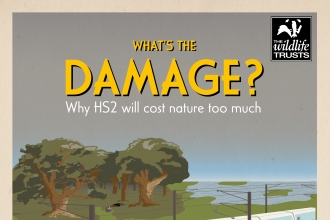 What's the Damage? Why HS2 will cost nature too much. Report cover.