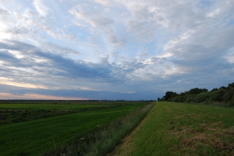 Woodwalton Fen floodbank big sky