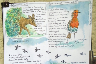 A page from a Nature Journal by Sharon Williamson