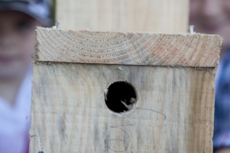 A nestbox built by a family