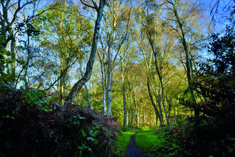 Flitwick Moor 