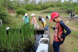 Paxton Pits Wild Local Experience 