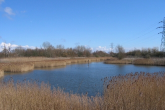 Woodston Ponds Nature Reserve
