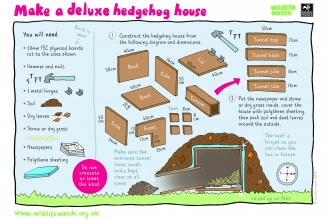 Make a hedgehog house