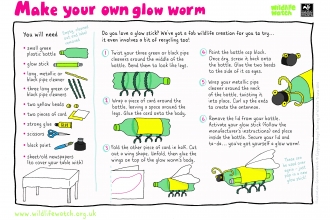 Make your own glow worm activity sheet_0