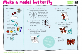 Model butterfly