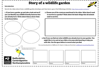 Story of a wildlife garden
