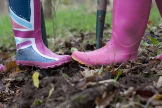 Wildlife gardening Tom Marshall