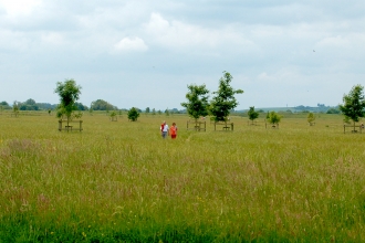 Trumpington Meadows by Caroline Fitton