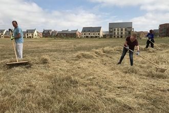 Hay cut Trumpington Meadows