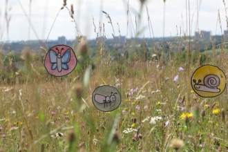 Blow's Downs