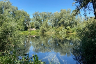 Across the lake - Nene Wetlands