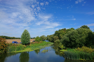 River Great Ouse Summer 2018 - Felmersham - c. Robert Enderby