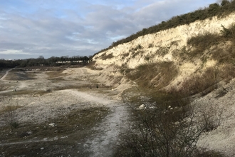 Cherry hinton chalk pits reserve spring sunlight 2020 c. Sophie Busch