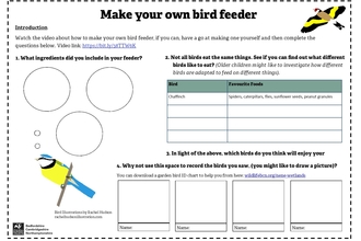 How to make a bird feeder