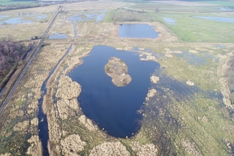 A view across Rymes Reedbed on World Wetlands Day - Great Fen