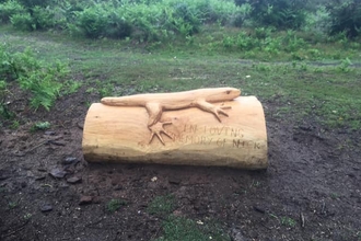 Cooper's Hill Family trail