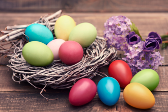 Coloured eggs in nest