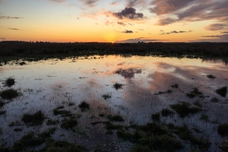 Great Fen sunset Martin Parsons
