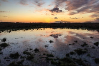 Great Fen sunset Martin Parsons