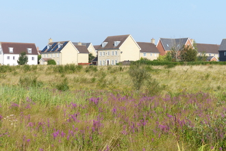 Cambourne by Robert Enderby