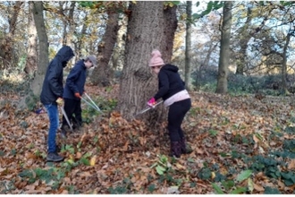 3 Youth Rangers using loppers