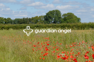 Guardian Angel website banner